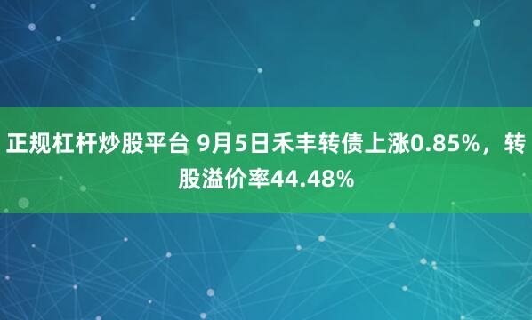 正规杠杆炒股平台 9月5日禾丰转债上涨0.85%，转股溢价率44.48%