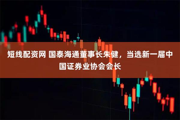 短线配资网 国泰海通董事长朱健，当选新一届中国证券业协会会长