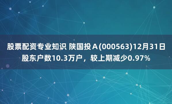 股票配资专业知识 陕国投Ａ(000563)12月31日股东户数10.3万户，较上期减少0.97%